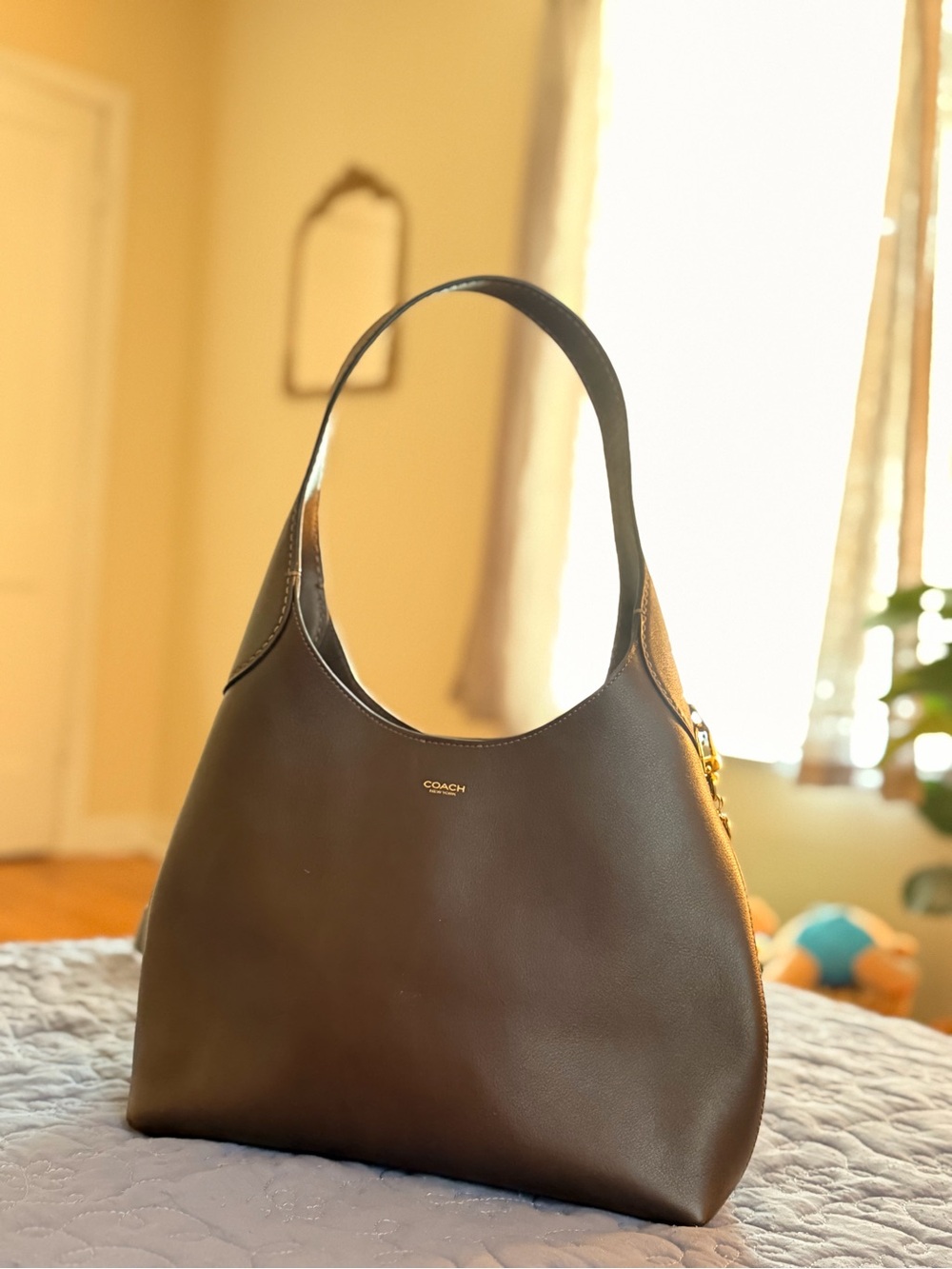 Coach Chocolate Brown Leather Shoulder Bag